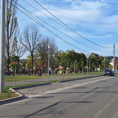 Casa De Langa Lac Oradea Dış mekan fotoğraf